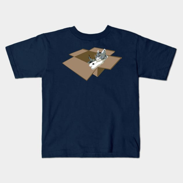 Kitty Box Party Kids T-Shirt by TAP4242